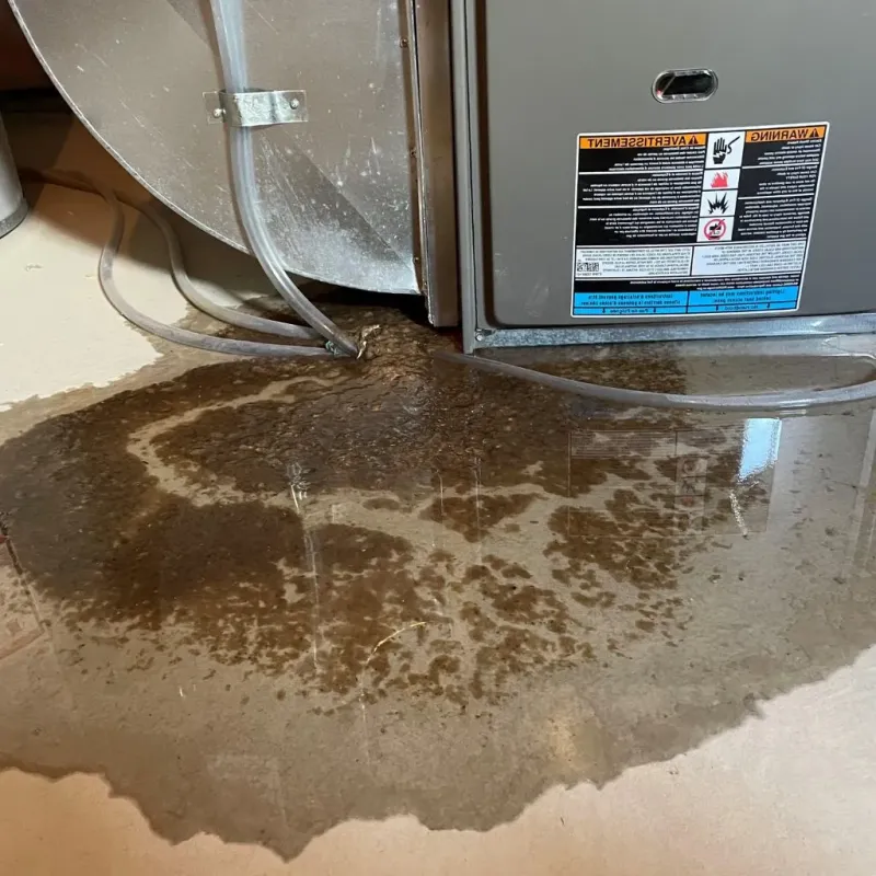 Pipe Burst and Leak Restoration in Cornish, ME